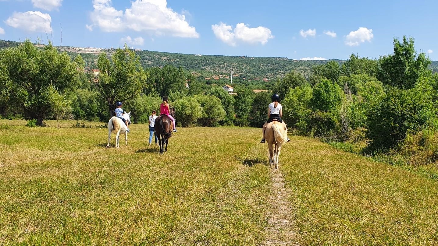 Izleti